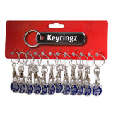 (12 x Funky Trolley) Pack of 12 - Shopping Trolley £1 Token Coin Keyring for Shop Trolley Locker etc - New £1 Coin 12 Edge Shape